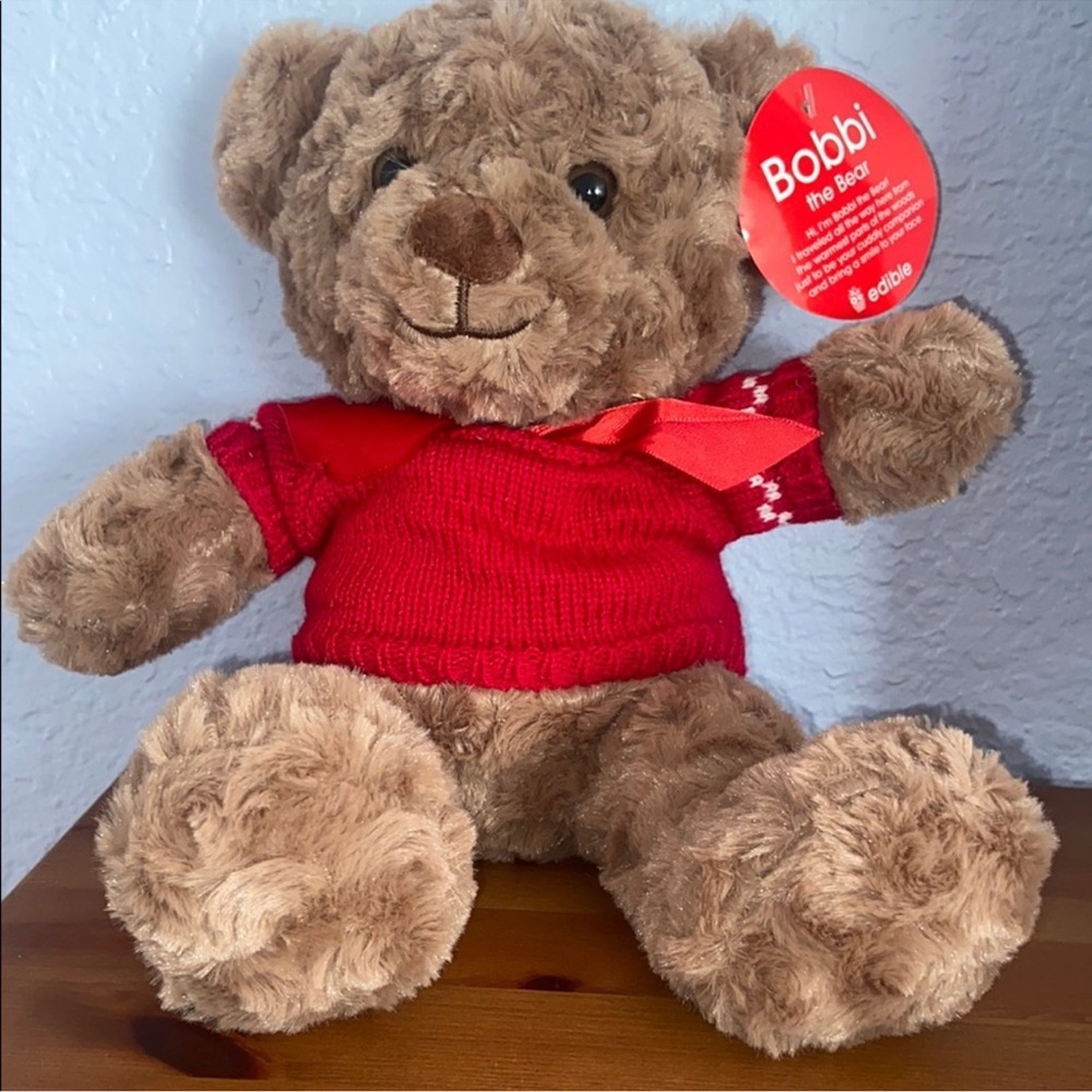 Adopt a Plush Teddy Bear in Red Sweater